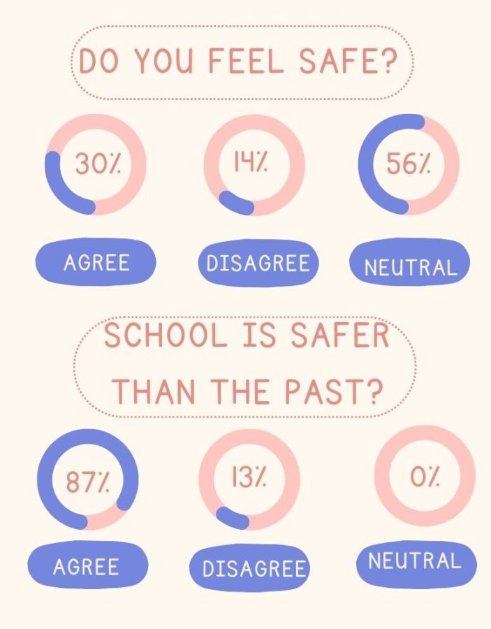 Do You Feel Safe at School?